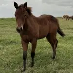 CUTTIN UP DRIFTS x IT’S TIME TO LOOK – Filly